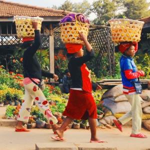 Dora Mae goes to Madagascar